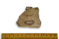 F 05239
<br/>
<br/>
<em></em>